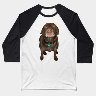 Chocolate Labrador Dog Baseball T-Shirt